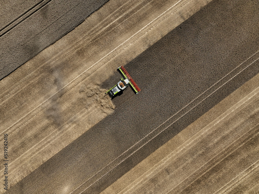 Aerial view of grain harvest in Brandenburg, Germany Aerial view of grain harvest in Brandenburg, Germany
