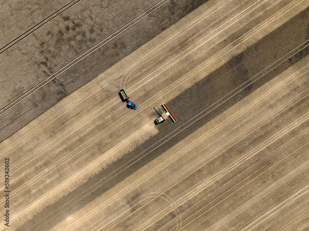Aerial view of grain harvest in Brandenburg, Germany
