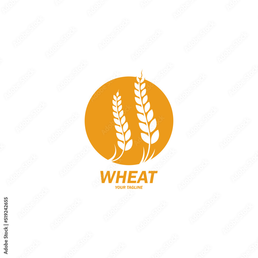 Agriculture wheat Logo Template vector icon Agriculture wheat Logo Template vector icon