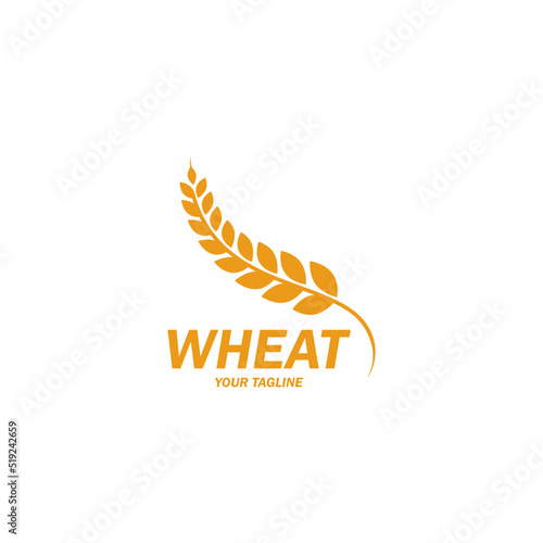 Agriculture wheat Logo Template vector icon