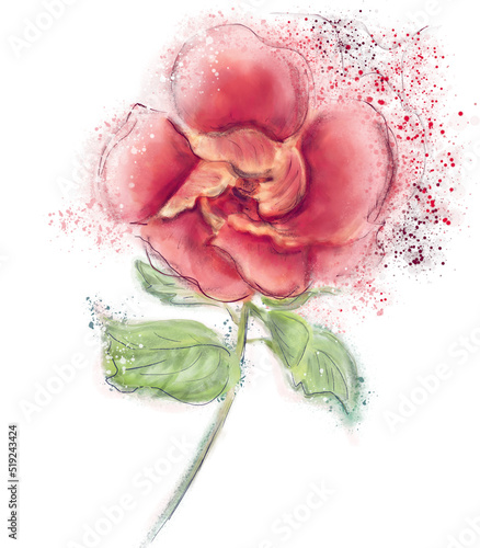 Red Hibiscus Flower Watercolor on White Background