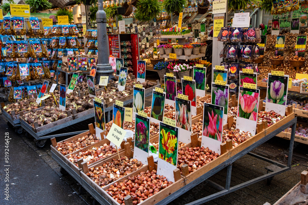 Traditional flower market in Amsterdam downtown, Netherlands