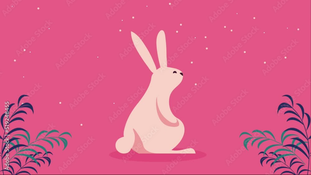 cute rabbit in garden animation cute rabbit in garden animation