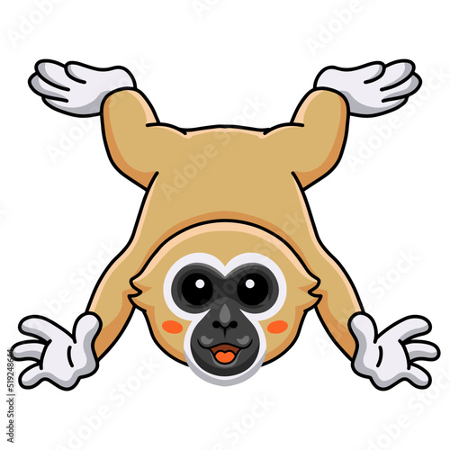 Cute white handed gibbon monkey cartoon posing