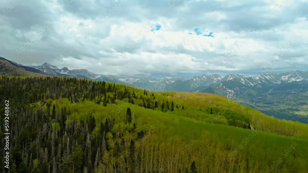 Telluride Colorado USA. 4K Aerial Drone Shot Flying Over Hill Covered In Aspen Tree Forest Revealing Large Rocky Mountains Range In The Background With Beautiful Small Town Ski Resort Summer Valley. Telluride Colorado USA. 4K Aerial Drone Shot Flying Over Hill Covered In Aspen Tree Forest Revealing Large Rocky Mountains Range In The Background With Beautiful Small Town Ski Resort Summer Valley.