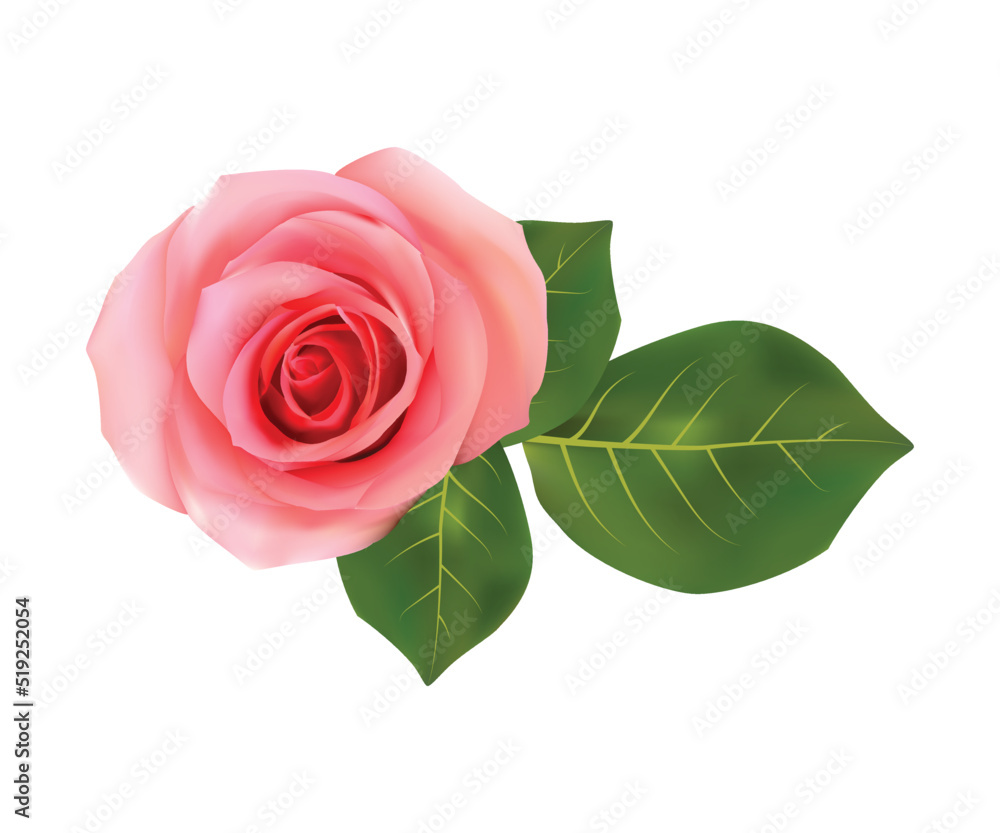 Fototapeta premium Abstract vector isolated pink rose with green leaf on white background