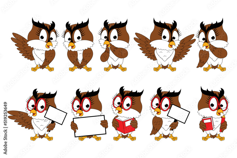 cute owl animal cartoon graphic