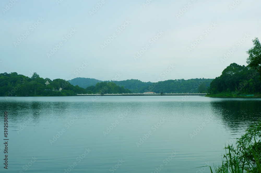 Neyyar dam inside the forest view 