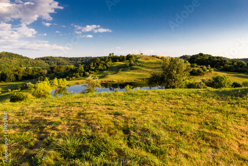 Fields in a rural landscape in an early summer evening  Ohio