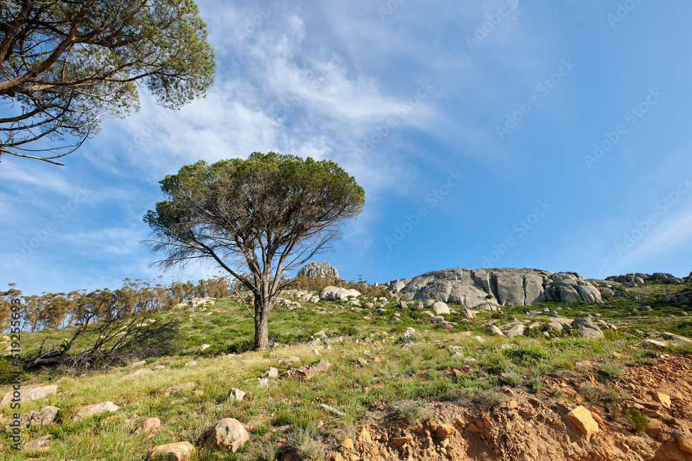 Natural landscape view of mountain in nature. Scenic look of rocky hills and grassy terrain on a sunny day in the outdoors. Big blue sky background with greenery and small separated clouds outside