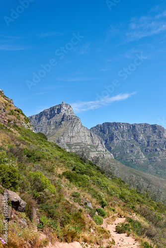 Landscape, scenic and copyspace view of plants, greenery and bushes on a mountain against a clear blue sky. Beautiful and peaceful natural environment showing ecology and landmarks in nature