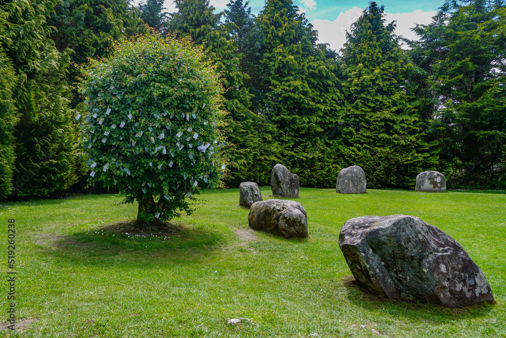 Kenmare, Co. Kerry, Ireland: The Hawthorn Fairy Tree at the Bronze-age Kenmare stone circle. People attach prayers or gifts to the branches, hoping to receive healing or good luck. Kenmare, Co. Kerry, Ireland: The Hawthorn Fairy Tree at the Bronze-age Kenmare stone circle. People attach prayers or gifts to the branches, hoping to receive healing or good luck.