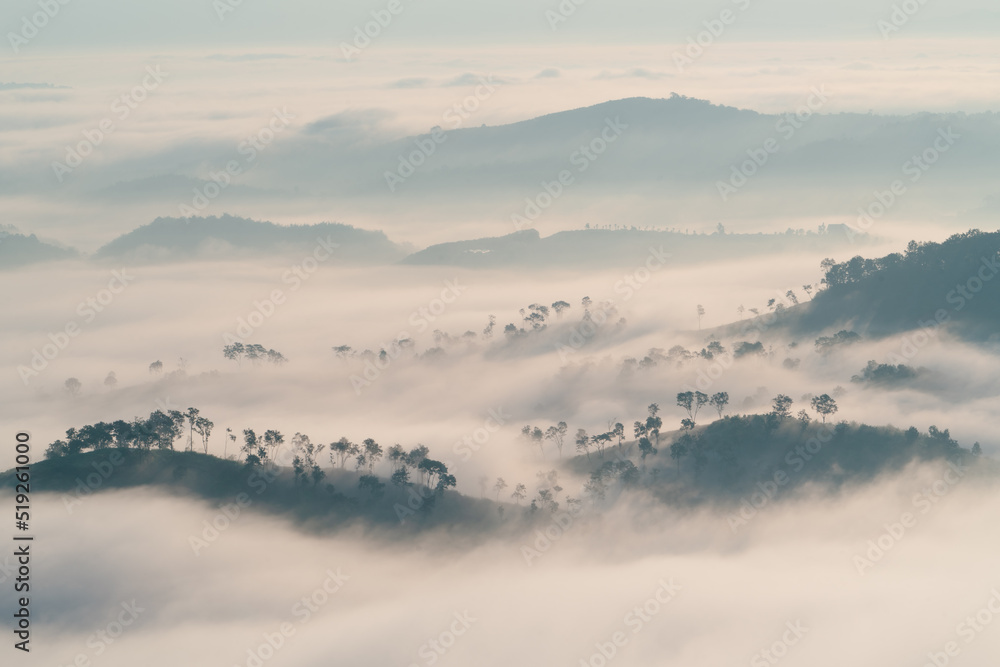 Misty landscape with shadow of forest in panorama view, Heaven on earth at sunrise