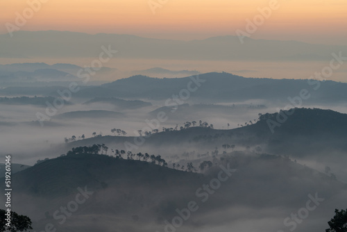 Misty moving landscape with shadow of tree in panorama view  Heaven on earth at sunrise