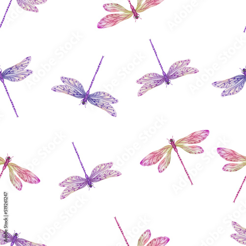 Vector de libelulas