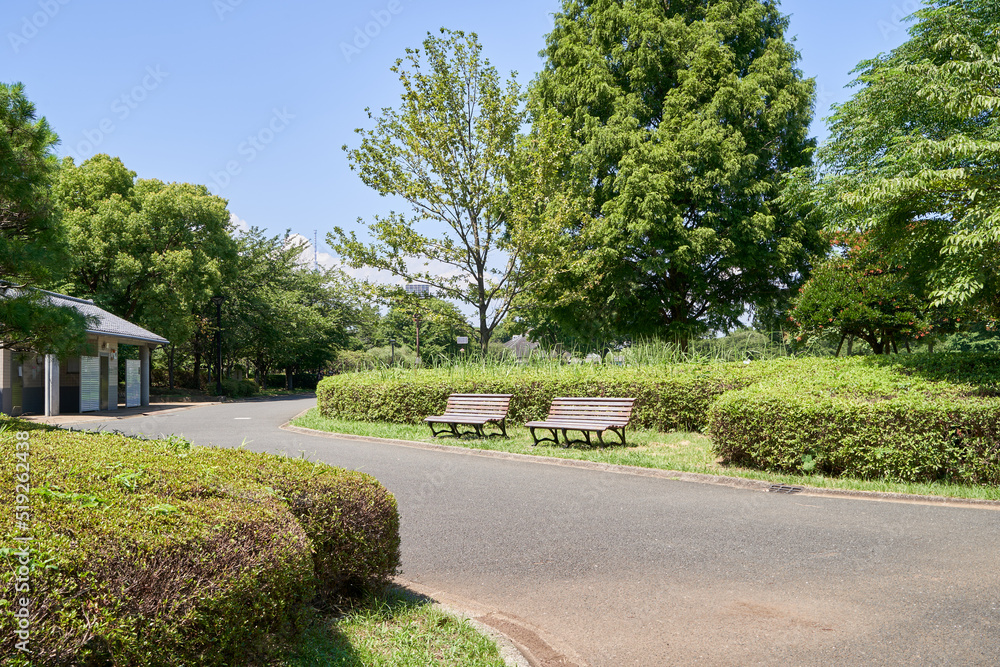 公園 道 散策 公園 道 散策