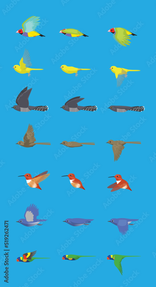 Various Bird Flying Sequence Cute Cartoon Vector Illustration Finch Canary Cuckoo Nightingale Hummingbird Bluebird Parrot
Various Bird Flying Sequence Cute Cartoon Vector Illustration Finch Canary Cuckoo Nightingale Hummingbird Bluebird Parrot