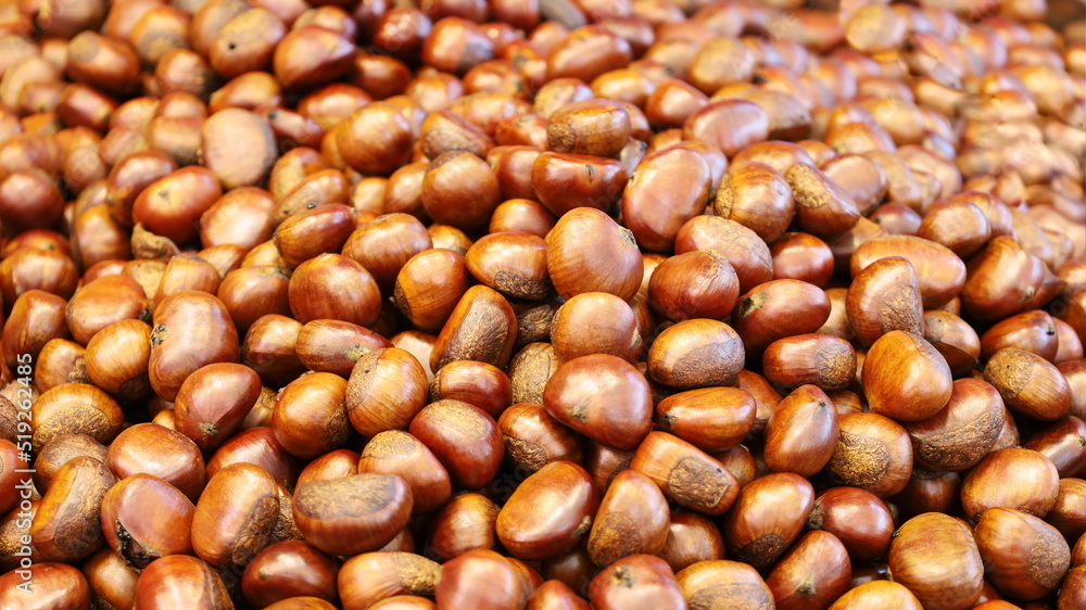 Chestnut background. Bright brown chestnut clusters above with copy space. Selective focus Chestnut background. Bright brown chestnut clusters above with copy space. Selective focus