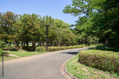 公園 道 散策