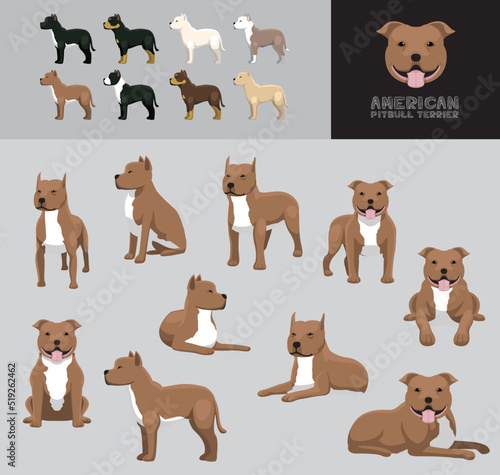 Dog American Pitbull Terrier Cartoon Vector Illustration Color Variation Set
