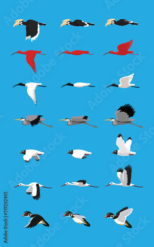 Various Bird Flying Sequence Cute Cartoon Vector Illustration Set Hornbill Ibis Heron Gull Stork Duck
