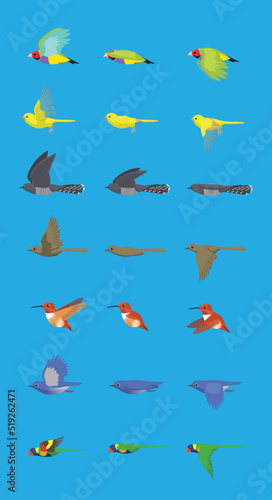Various Bird Flying Sequence Cute Cartoon Vector Illustration Finch Canary Cuckoo Nightingale Hummingbird Bluebird Parrot © bullet_chained