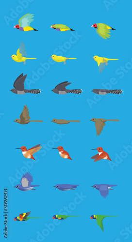 Various Bird Flying Sequence Cute Cartoon Vector Illustration Finch Canary Cuckoo Nightingale Hummingbird Bluebird Parrot

