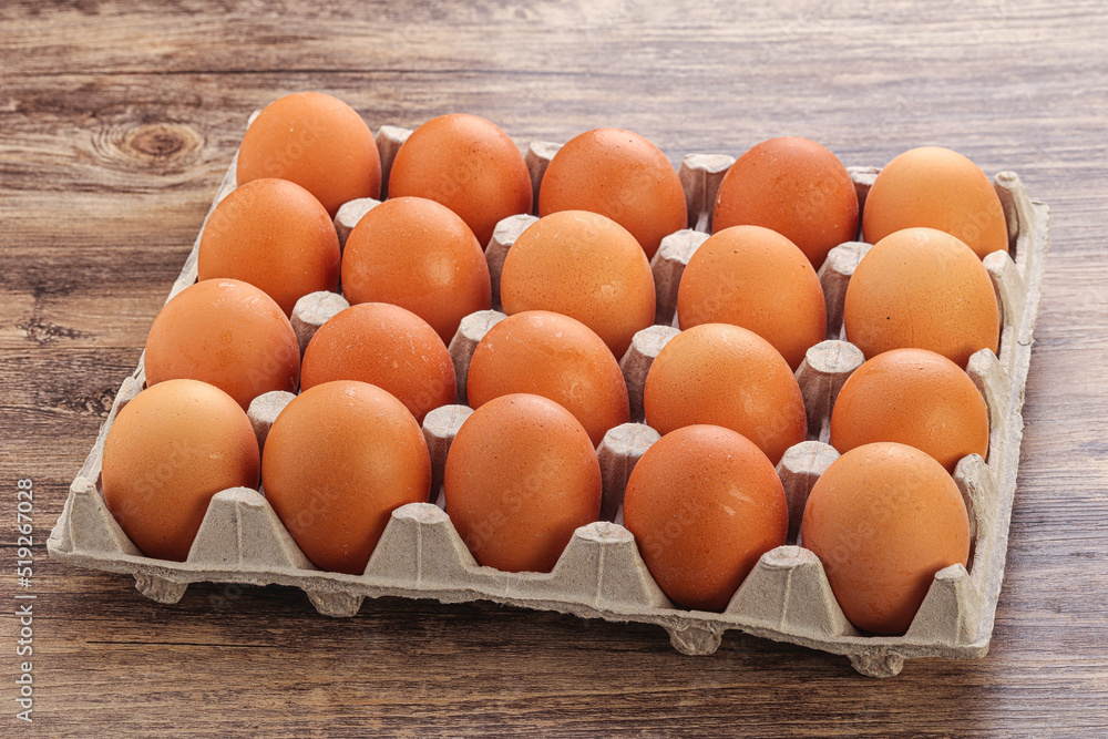 Organic chicken egg in the carton Organic chicken egg in the carton