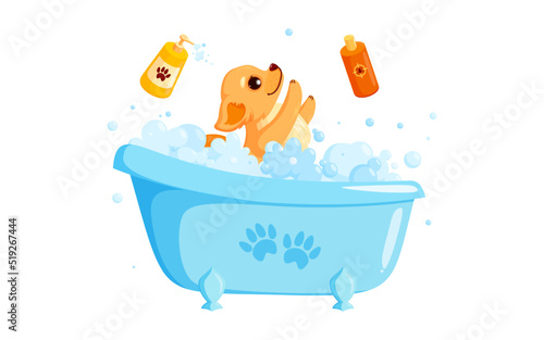 Dog grooming in a bath with pet shampoo. Playful chihuahua puppy in grooming service. Vector illustration in cute cartoon style