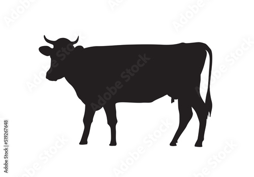 Indian cow breed. Silhouette of a cow. Cattle or livestock.