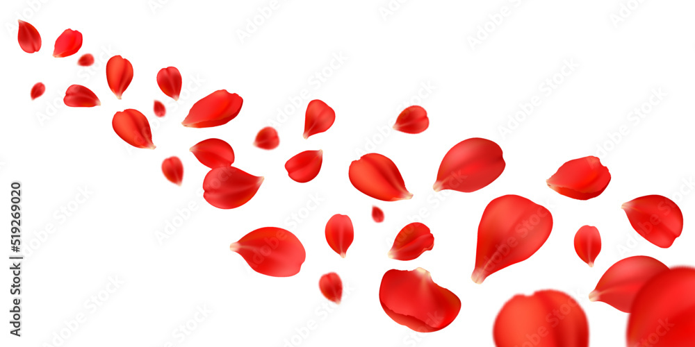 Flying rose petals of red flower blossom. Vector background of realistic rose flower petals falling wave, floral confetti 3d pattern for Valentine, Mother Day card or elegant wedding invitation