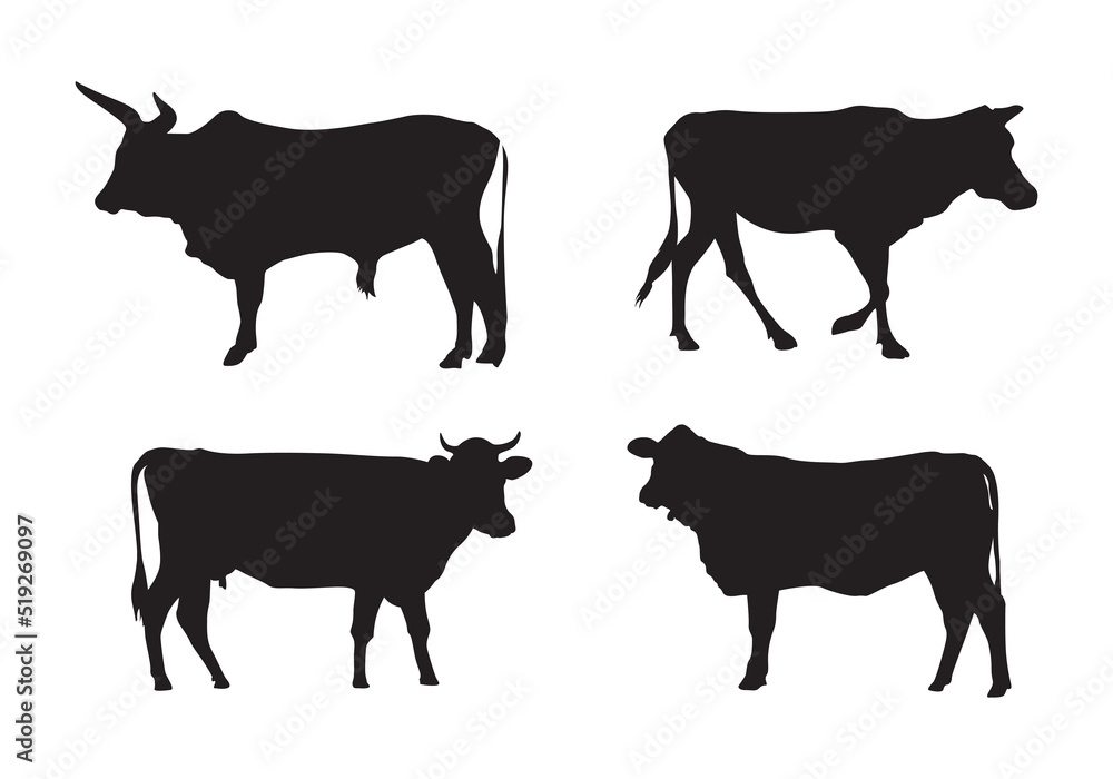 Set of cows. Black silhouette of cow isolated on white. Domestic animal. Set of cows. Black silhouette of cow isolated on white. Domestic animal.