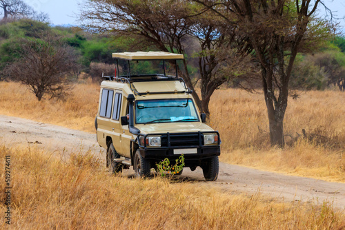 Off road car driving in Tarangire national park in Tanzania. Safari in Africa