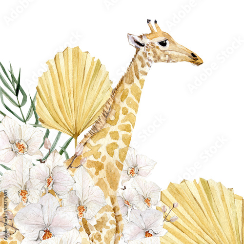 Beautiful animal portrait with hand drawn watercolor cute giraffe in tropical floral leaves ans branches. Safari kids design. Stock illustration photo