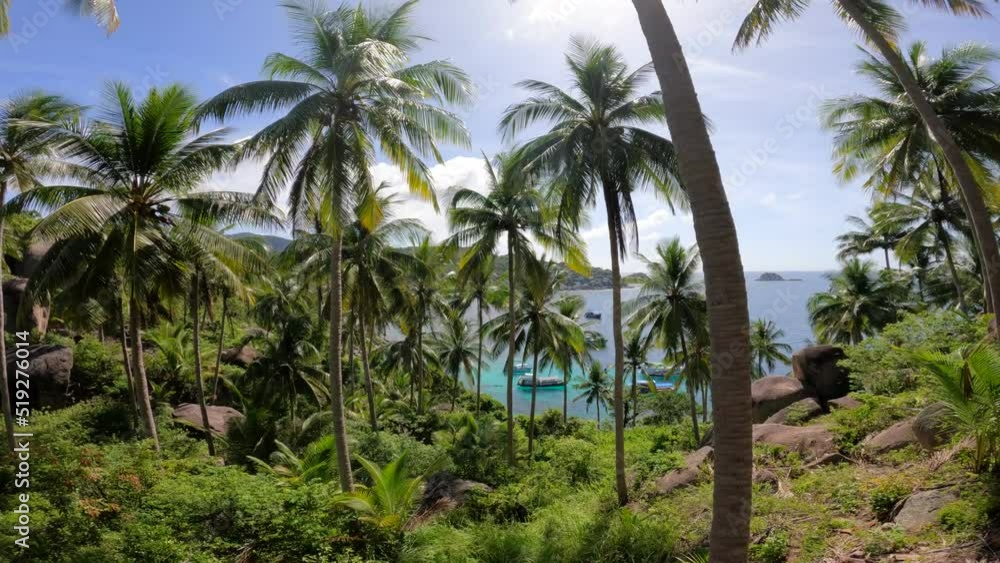 On tropical islands, coconut palms and summer beaches on Koh Tao. On tropical islands, coconut palms and summer beaches on Koh Tao.