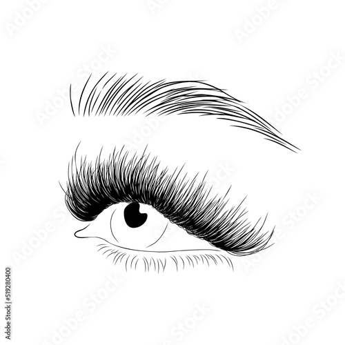Realistic lashes on white background. Female open eyes and brows. Lamination and extension eyelashes. Beauty studio logo. Linear vector Illustration in trendy minimalist style.