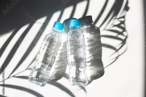 椰子の葉の影とペットボトルの水