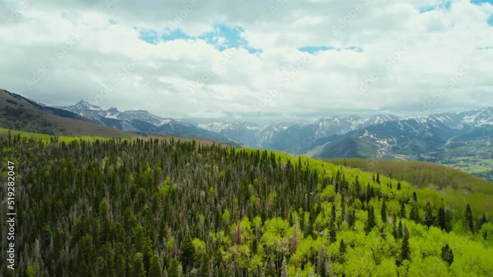 Telluride Colorado Usa. Aerial Drone View Beautiful Pine Tree and Aspen Tree Forest Landscape With Rocky Mountain Range In The Background During Cloudy Summer Season Day. Telluride Colorado Usa. Aerial Drone View Beautiful Pine Tree and Aspen Tree Forest Landscape With Rocky Mountain Range In The Background During Cloudy Summer Season Day.