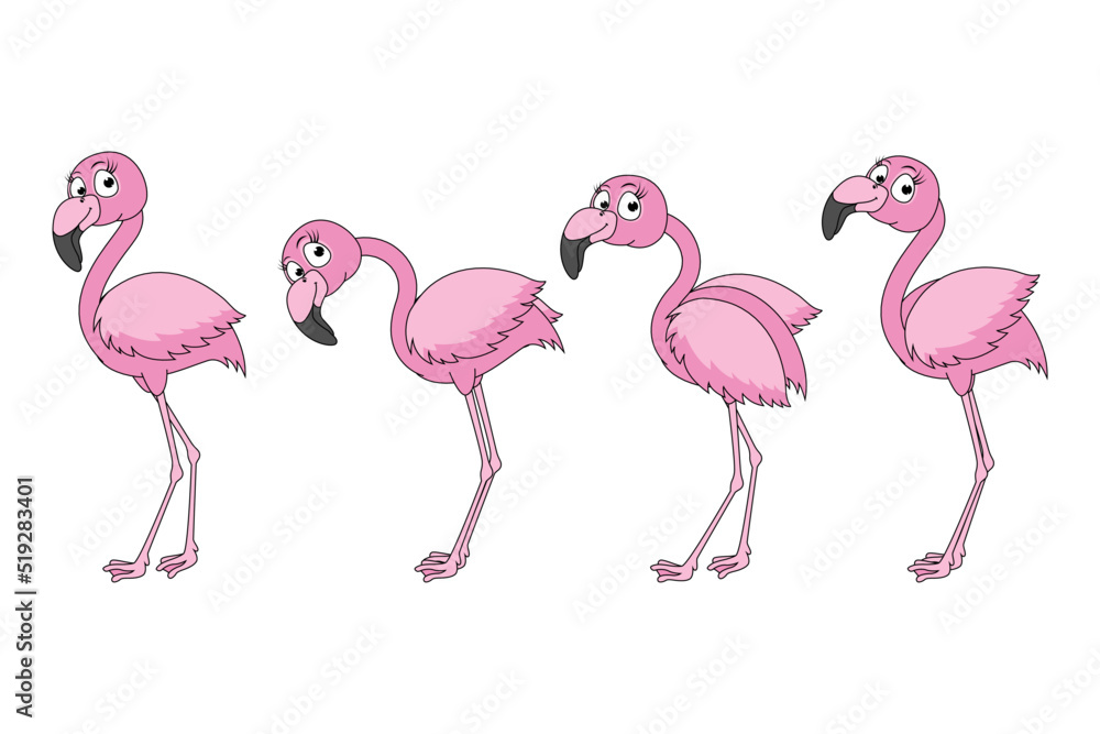 Obraz premium cute flamingo bird cartoon graphic