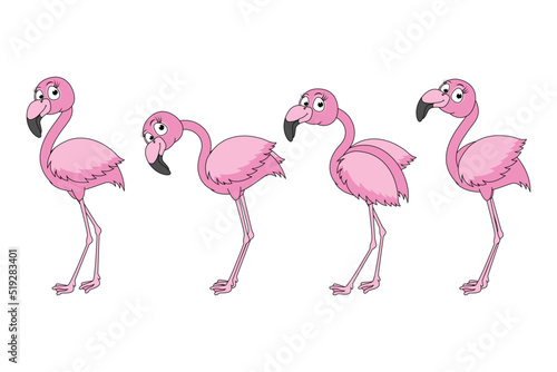 cute flamingo bird cartoon graphic