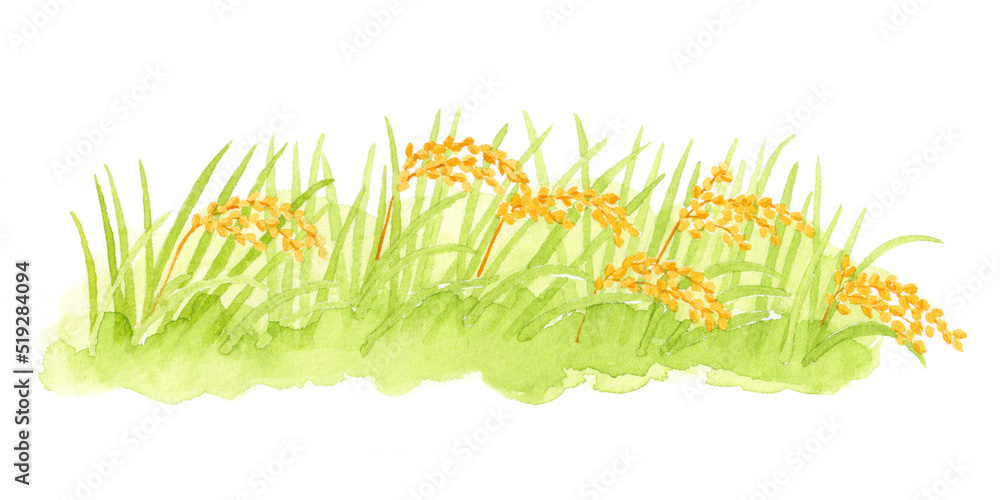 田んぼの風景 水彩イラスト 田んぼの風景 水彩イラスト
