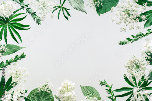 Assorted floral and jungle tree green leaves and white flowers frame border Natural sustainable environment friendly cosmetics mockup concept flat lay with copy space