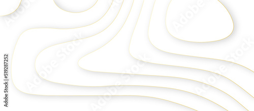 3d white papercut topography relief with golden line. Cover layout template. Material design concept background illustration. abstract curve gold line white background. 
