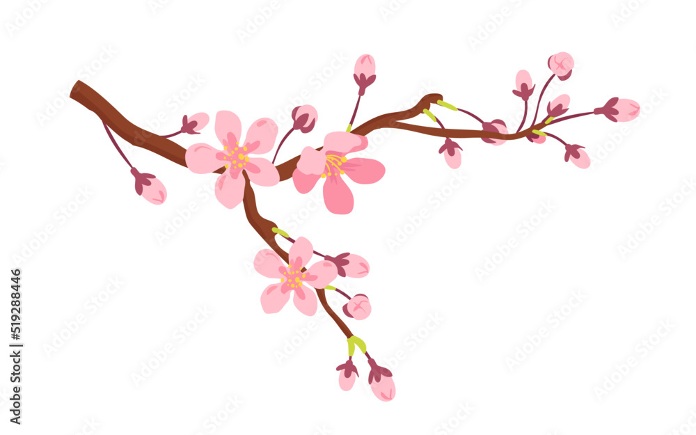 Apricot tree branch with spring flowers vector illustration. Cartoon isolated romantic pink blossom in garden springtime, blooming twig with delicate buds and flowers on stems, May bloom in orchard