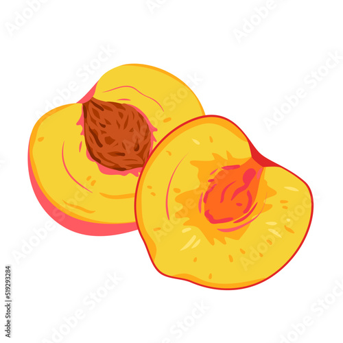 Peach ripe fruit cut in half vector illustration. Cartoon isolated halves of yellow sweet fresh peach or nectarine, fruity pieces for summer delicious vitamin dessert and ingredient for cooking pie