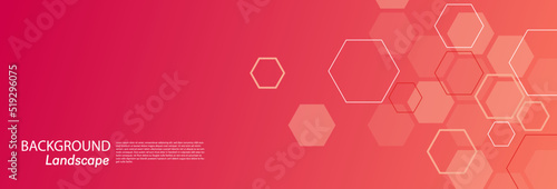 Panoramic trendy in minimalist vector design. Abstract hexagon geometric for wallpaper illustration. Modern simple cover and banner design. composition of honeycomb layout into modern background