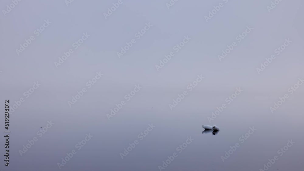 Foggy morning on the lake with the shore seen in the distance