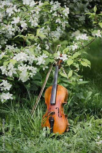 A violin in a blooming garden stands by a tree in the garden