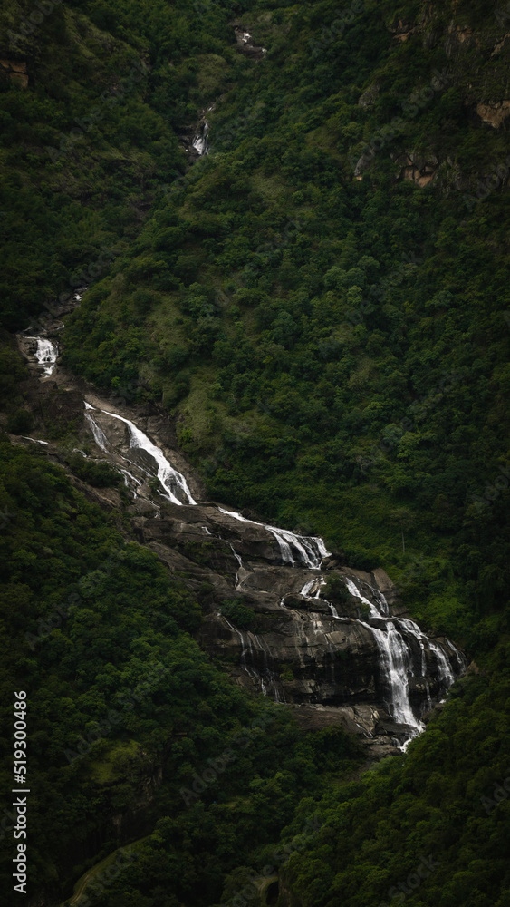 Obraz premium waterfalls in the forest
