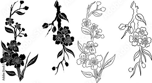 Free hand Sakura flower vector set, Beautiful line art Peach blossom isolate on white background.Branch of cherry blossom for printing on wallpapers and sticker.Japanese flower.Golden line art.